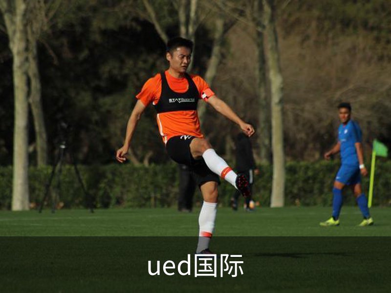 ued国际介绍